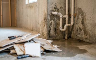 The $50,000 Mistake: Why DIY Projects Could Be Wrecking Your Basement’s Future